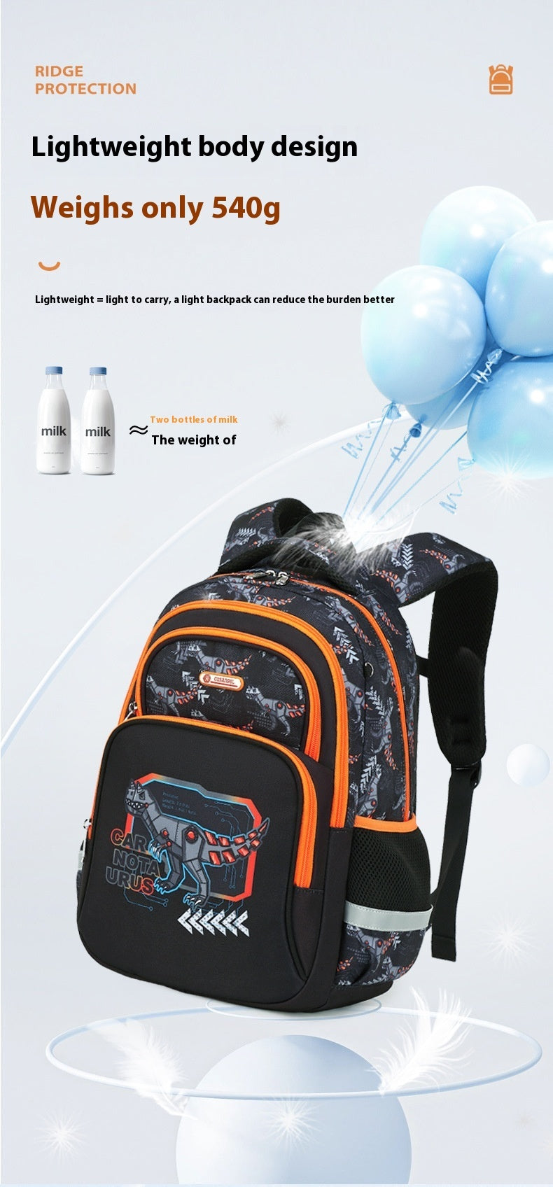Primary School Student Schoolbag